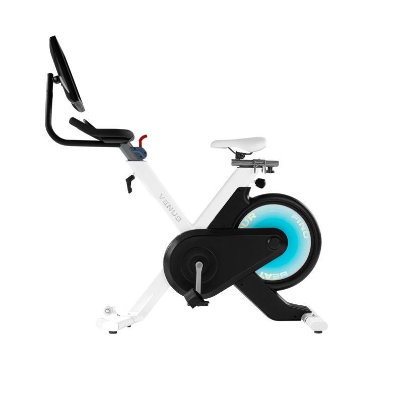 VENUS-B2智能单车（带屏）